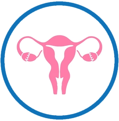 gynecologist in saroornagar